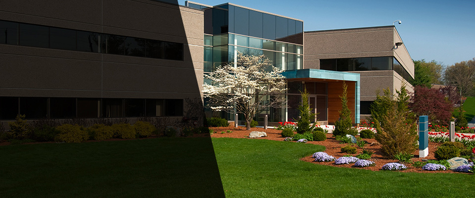 Playa Vista Landscapers
