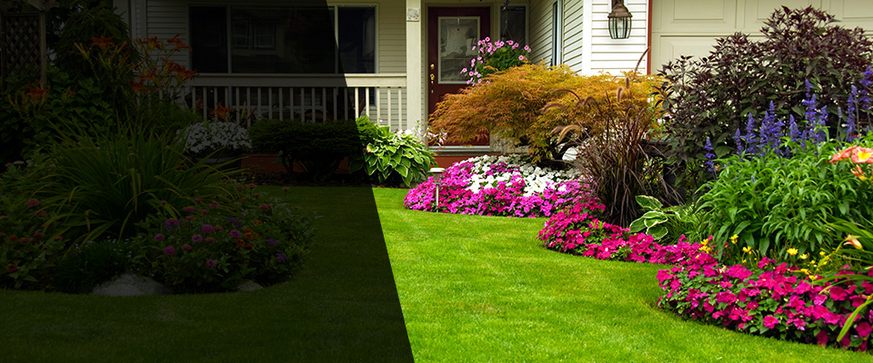 Playa Vista Landscapers