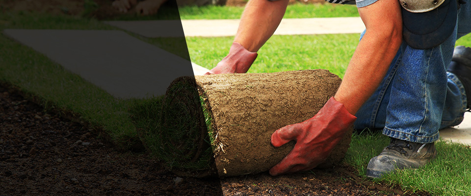Playa Vista Landscapers